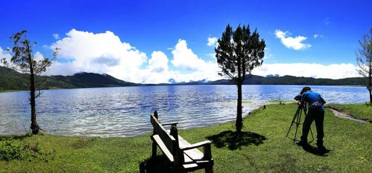 1581675357_ptg 4.jpeg